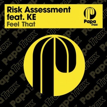 Risk Assessment Feat. KE – Feel That