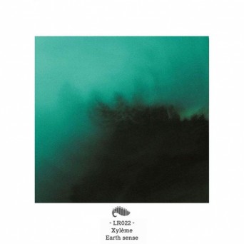 Xylème – Earth Sense