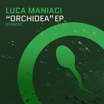 Luca Maniaci – Orchidea