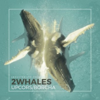 2Whales – UPCORS / BORCHA