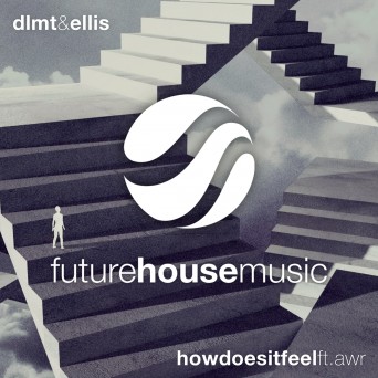 DLMT & Ellis ft. AWR – How Does It Feel