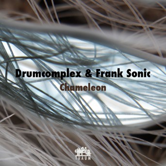 Drumcomplex & Frank Sonic – Chameleon EP