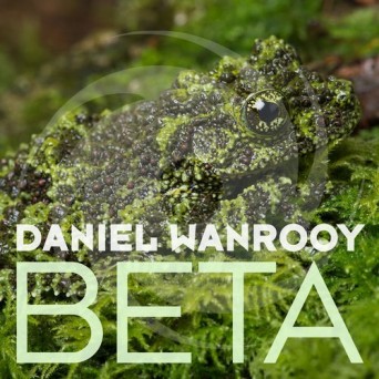 Daniel Wanrooy – Beta