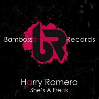 Harry Romero – She’s A Freak