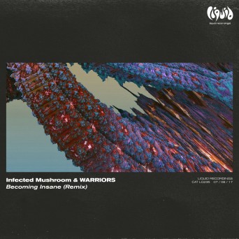 Infected Mushroom & WARRIORS – Becoming Insane VIP Remix