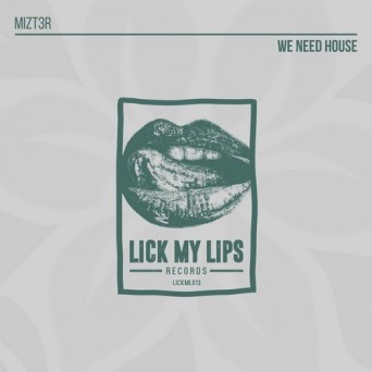 Mizt3r – We Need House