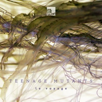 Teenage Mutants – Le Voyage