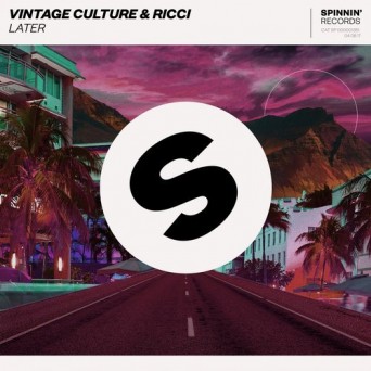 Vintage Culture & Ricci – Later