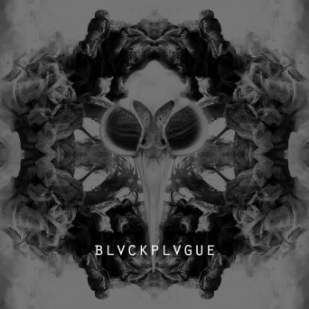 Various Artists N°1