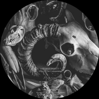 Human Insect – Effect Of Our Contamination