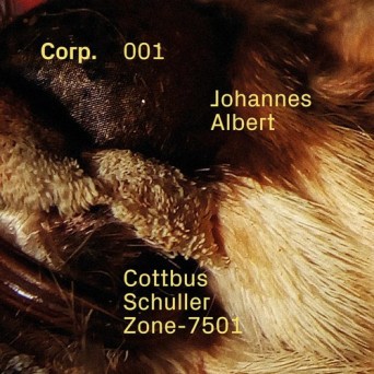 Johannes Albert – Cottbus
