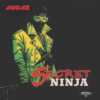 Secret Ninja – Who Dares / Work Me