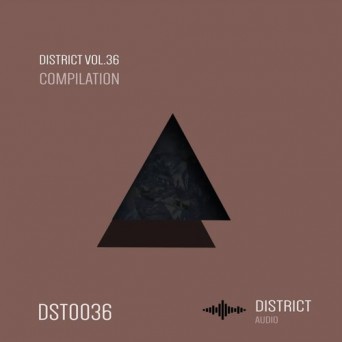 District 36