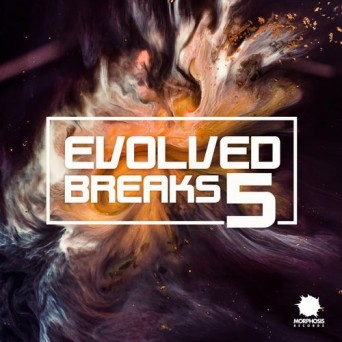 Evolved Breaks Vol. 5