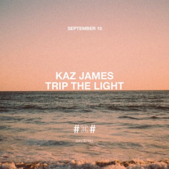 Kaz James – Trip The Light