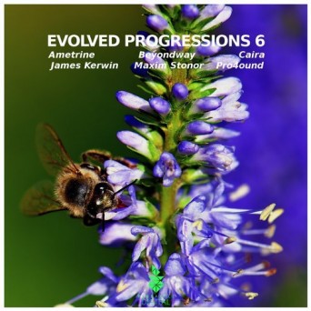 Pineapple Digital: Evolved Progressions 6