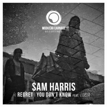 Sam Harris – Regret / You Don’t Know