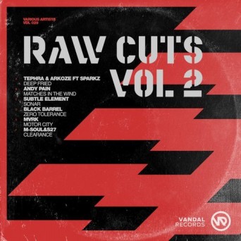 Vandal Records: Raw Cuts Vol.2