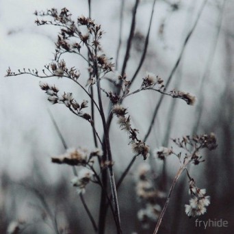 Tim Engelhardt – Reality