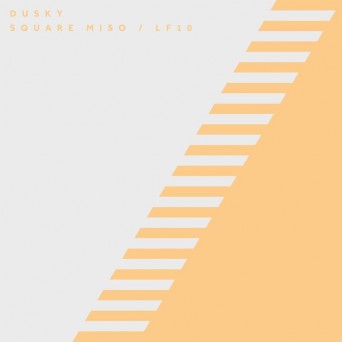 Dusky – Square Miso / LF10