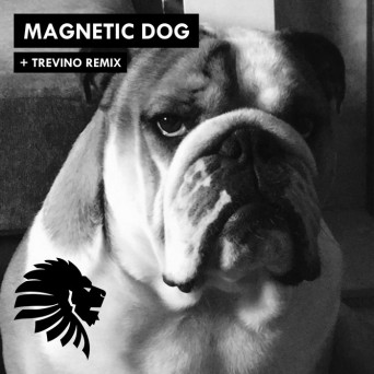 Alan Fitzpatrick – Magnetic Dog