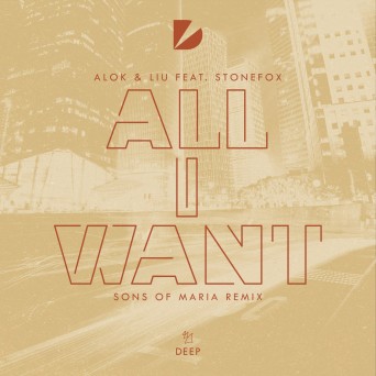 Alok & Liu feat. Stonefox – All I Want (Sons Of Maria Remix)
