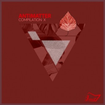 Inmost Records: Antimatter X