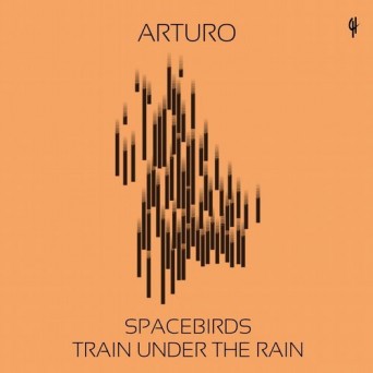 Arturo – Spacebirds / Train Under the Rain