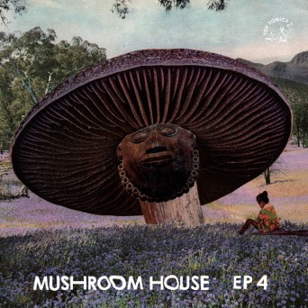 Mushroom House EP4