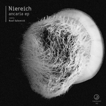 Niereich – Ancaria EP