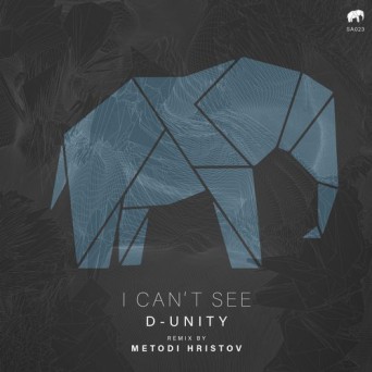 D-Unity – I Can’t See