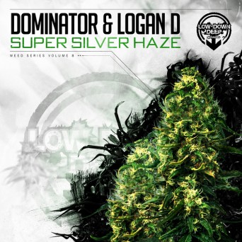 DJ Sly & DJ Pleasure – Super Silver Haze