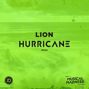 Lion – Hurricane