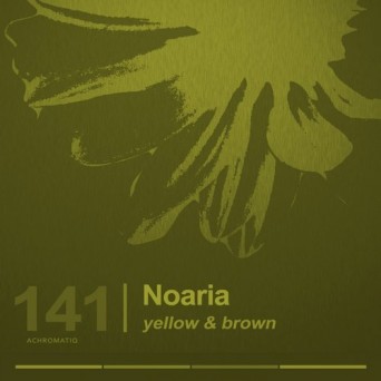 Noaria – Yellow & Brown