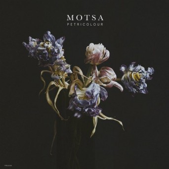 MOTSA – Petricolour EP
