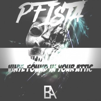 Pfista – Vinyl Found In Your Attic