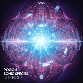 Sonic Species & Pogo – Numinous