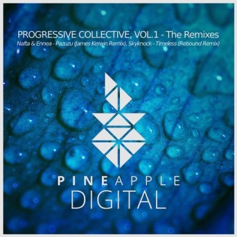 Nafta & Ennea / Skyknock – Progressive Collective Vol 1 (The Remixes)