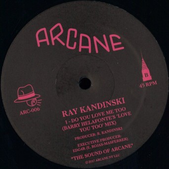 Ray Kandinski – Faking Love