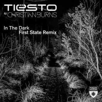 Tiësto & Christian Burns – In the Dark (First State Remix)