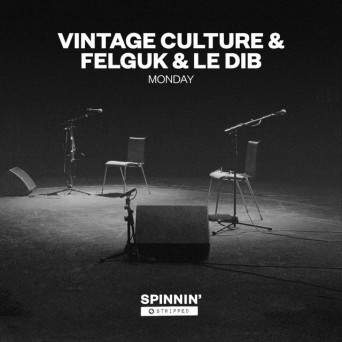 Vintage Culture & Felguk – Monday (Acoustic Version)