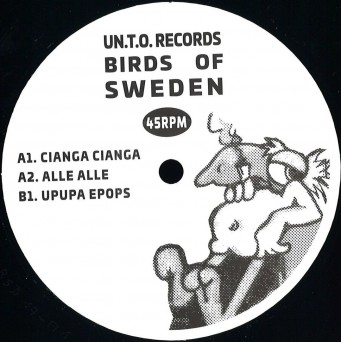 Birds Of Sweden – Birds Of Sweden EP