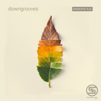 Downgrooves – Seasons