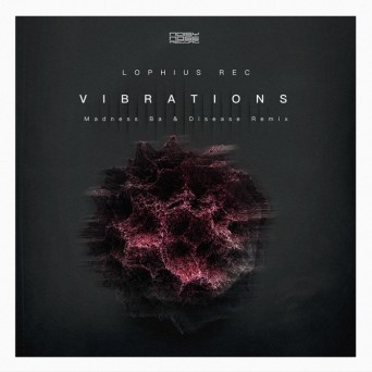 Lophius Rec – Vibrations