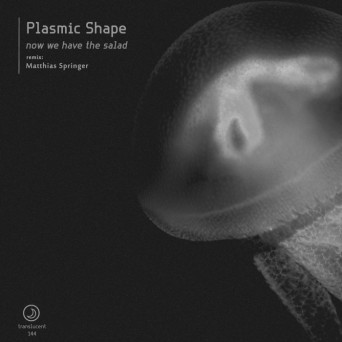 Plasmic Shape – Now We Have The Salad