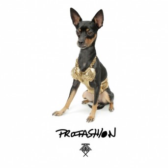 Patrick Alavi – Profashion