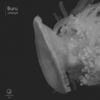 Buru – Catalyst