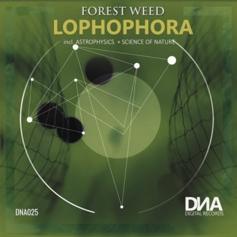 Forest Weed – Lophophora