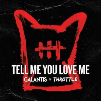 Galantis & Throttle – Tell Me You Love Me