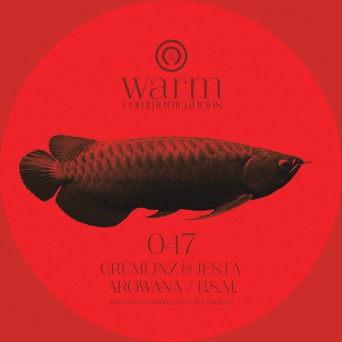 Gremlinz & Jesta – Arowana / BSM